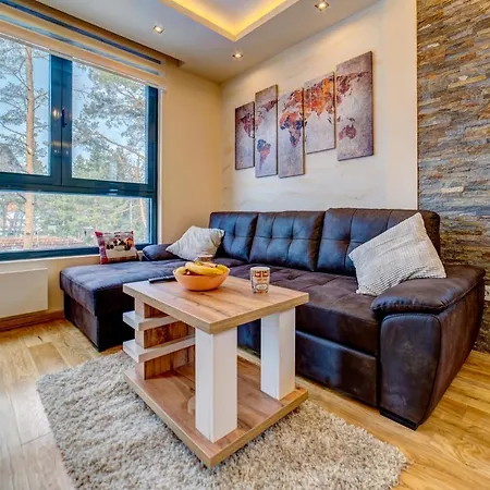 Danka Apartament Zlatibor